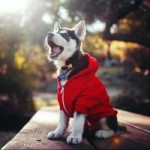 Менеджер по продажам