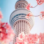 Екатерина Степайко