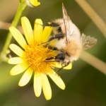 Продавец-кассир