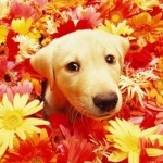 Ирина Леонидова