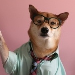 Ювелир-монтировщик