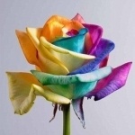 оксана романова