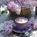 Анастасия Х.