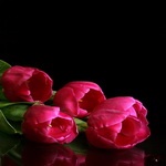 Ксения Кольцова