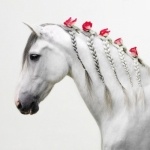 Виктория Вострикова