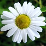 Валентина Крупко