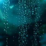 Станислав Карабанов