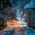 Пользователь