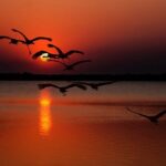 Оксана Кузнецова