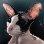 Галина Блинникова