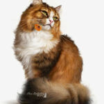 Ирина Симон