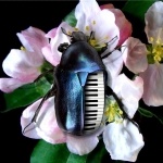 Fujitsu-Online-Shop.ru