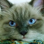 Ольга Власова