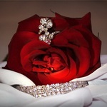 Елена Рузина