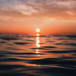 Алена Кузнецова