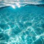 Денис Бахотский