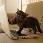 Александр Наров