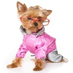 Лина Сикорская