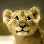 Алиса Фазылова