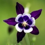 Отзыв сотрудника