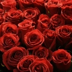 Маргарита Каграманова