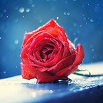 Ирина Иванова