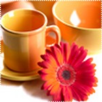 Алина Дьяченко