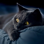 Слепова Ирина