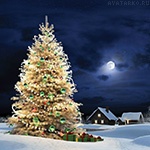 Ирина Антипова