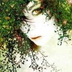 Елена Елохина