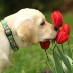 Татьяна Зеленцова