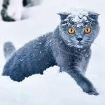 Юлия Потапенко