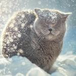 Мария Грасс