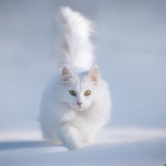 Бэлигма Хубаева