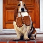 Андрей Чайкин