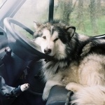 Иван Иванов