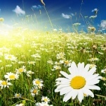 Марина Вторушина