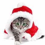 Анастасия Джалилова