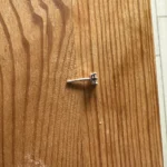 Сергей Шевцов