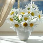 Светлана З.