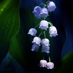 Наталья Айзенберг