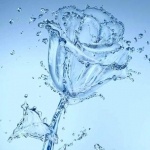 Елена Папотина