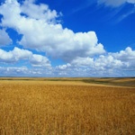 Екатерина Рябова