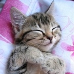 Екатерина Бир