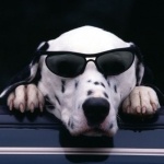 Владимир Рогозин