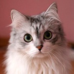 александра Батт