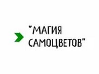 Сеть ювелирных магазинов «Магия Самоцветов»